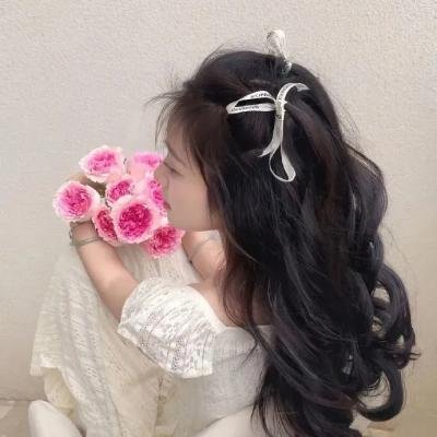 热斗小斑马